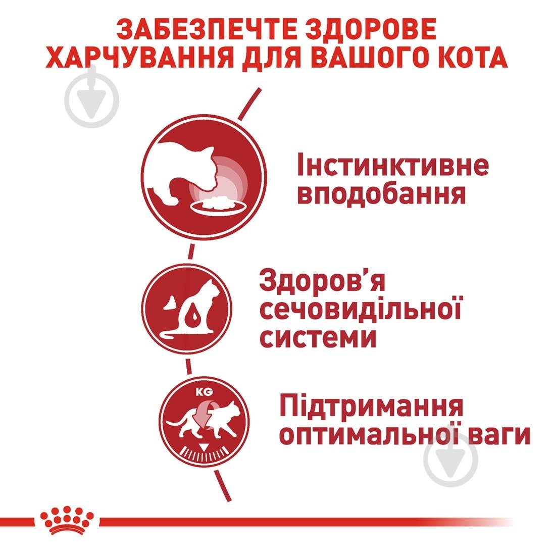 Набор корма для кошек Royal Canin Instinctive Gravy 3+1 85 г - фото 3