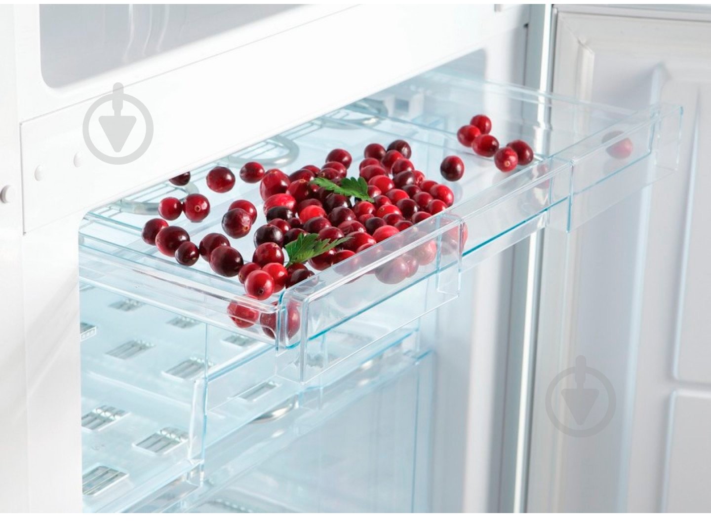 Холодильник Snaige RF 31 SМS0002F - фото 12