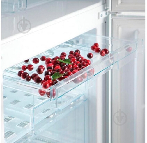 Холодильник Snaige RF58SM-S5DP21 - фото 8