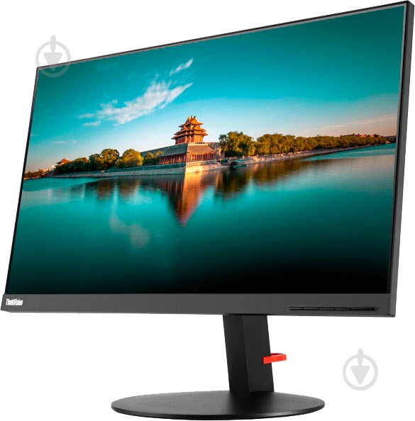 Монитор Lenovo ThinkVision T24i-19 23,8" (61D6MAT2UA) - фото 2