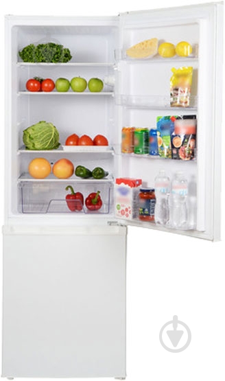 Холодильник Saturn ST-CF1951K - фото 3 Холодильник Saturn ST-CF1951K - фото 3