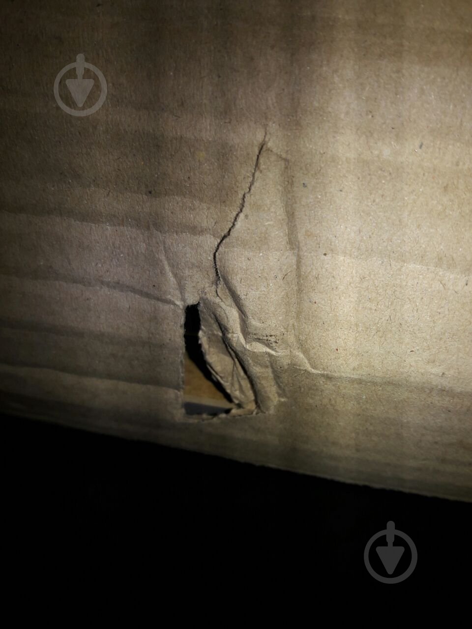 УЦІНКА! Тумба нижня Грейд МС Мері Q-25 Ня-3 (1+1) 60х82х54 см дуб платиновий/білий (УЦ №2533) - фото 7