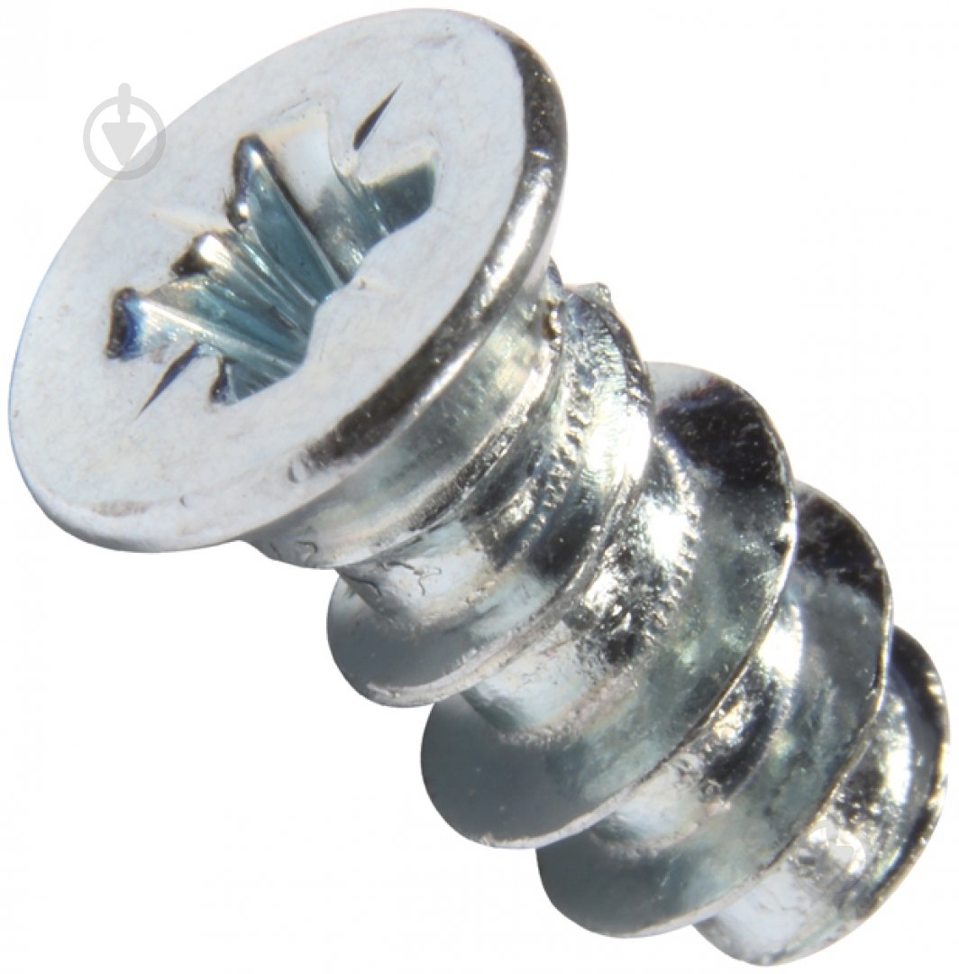 Еврошуруп с потайной головкой оцинкованный 6,3х13 мм 30 шт Expert Fix 3E16313-2bp - фото 1 Еврошуруп с потайной головкой оцинкованный 6,3х13 мм 30 шт Expert Fix 3E16313-2bp - фото 1