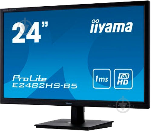 Монитор Iiyama ProLite 24" (E2482HS-B5) - фото 4
