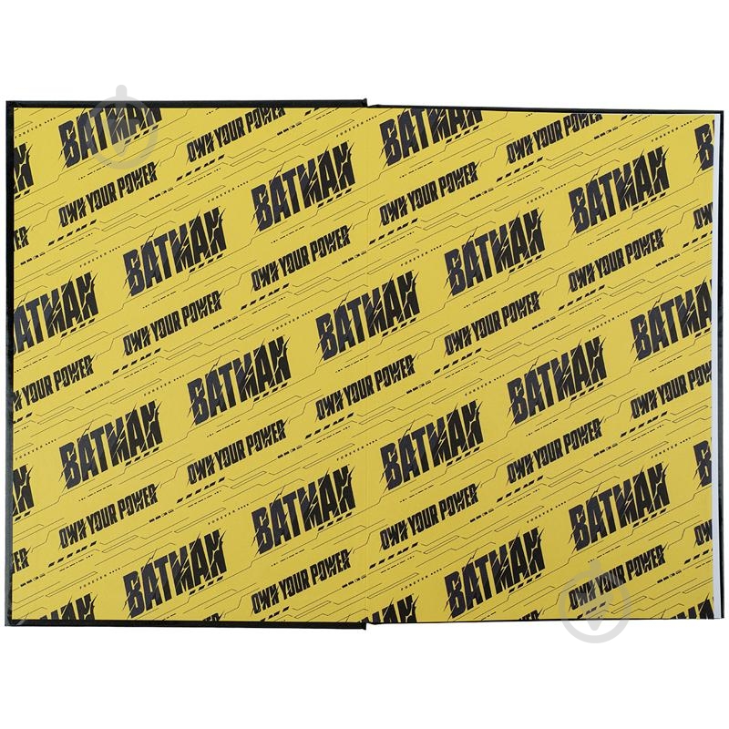 Дневник недатированный DC-1 KITE A5 DC24-262-1 - фото 2