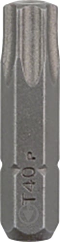 Бита Bosch 2609255938 TORX T40 25 мм 2 шт. - фото 1 Бита Bosch 2609255938 TORX T40 25 мм 2 шт. - фото 1