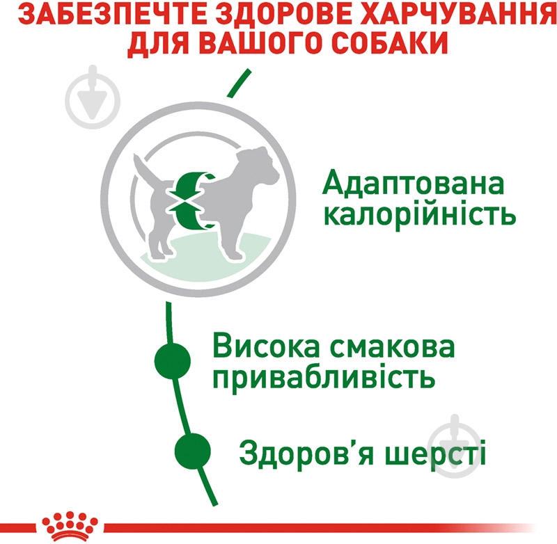 Корм сухой для взрослых собак для малых пород Royal Canin MINI ADULT (Мини Эдалт), 4 кг (домашняя птица) 4 кг - фото 5