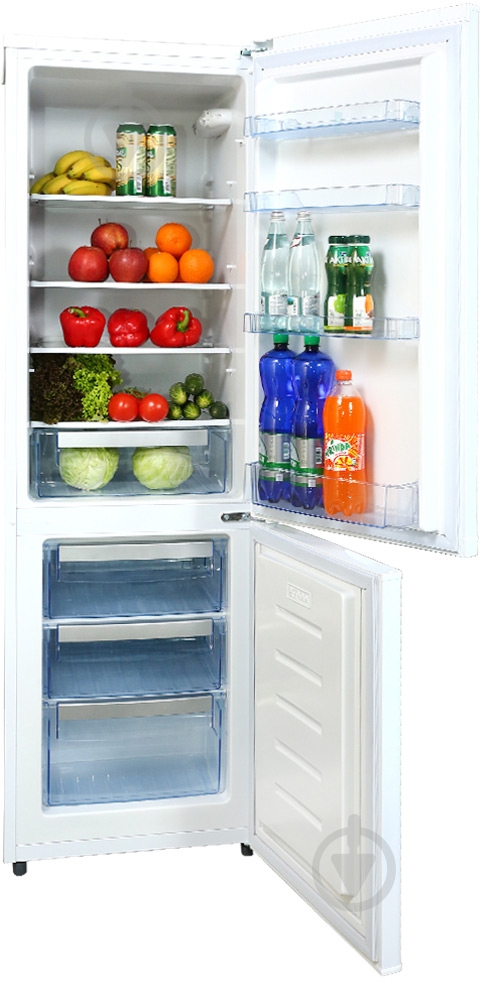 Холодильник Rotex RR-CD275 - фото 3