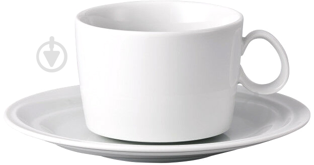 Чашка с блюдцем Rosenthal Nendoo 250 мл 00200768 - фото 1