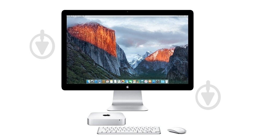 Топтық секс тақырыптарының секс порно фотосуреттері Магдалена сперматозоидтар Олимпиадасында