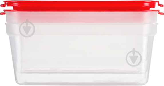 Набор контейнеров Tescoma Purity 300 мл 2 шт. 891876 - фото 2