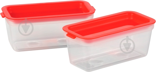 Набор контейнеров Tescoma Purity 300 мл 2 шт. 891876 - фото 1
