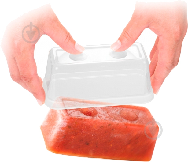 Набор контейнеров Tescoma Purity 300 мл 2 шт. 891876 - фото 5