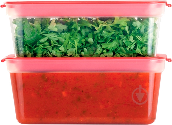 Набор контейнеров Tescoma Purity 300 мл 2 шт. 891876 - фото 3