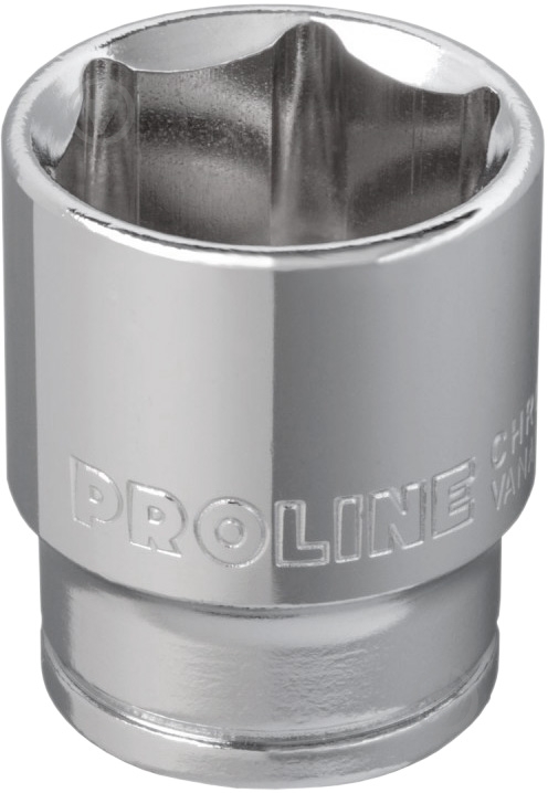 Головка торцевая 13 мм. 1/4" CrV Profix ZR 18113 1 шт. 18113 - фото 1 Головка торцевая 13 мм. 1/4" CrV Profix ZR 18113 1 шт. 18113 - фото 1