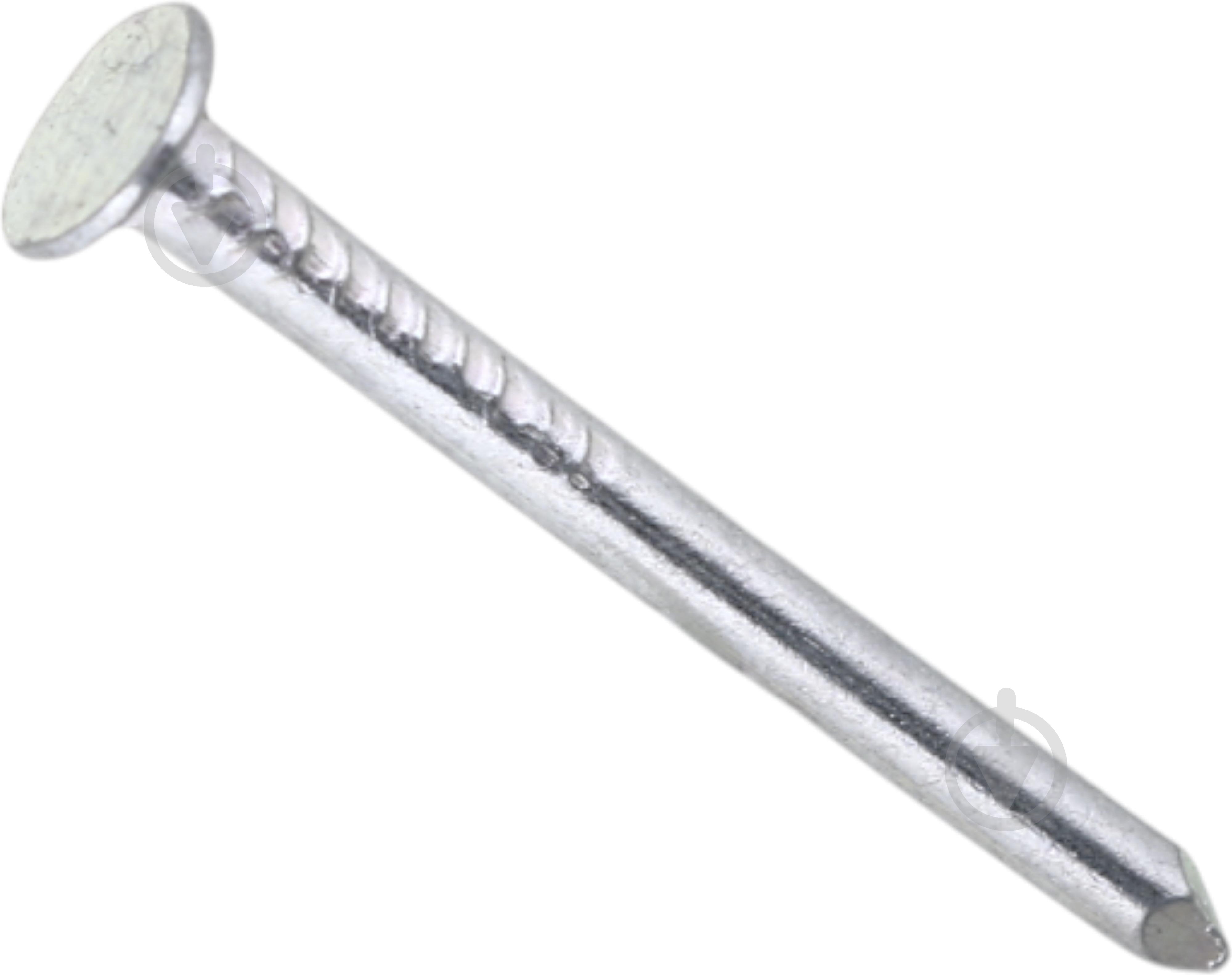 Гвозди кровельные 3,1x40 мм Expert Fix DIN 1160 1 кг белый цинк (KRG31040-2me) - фото 1