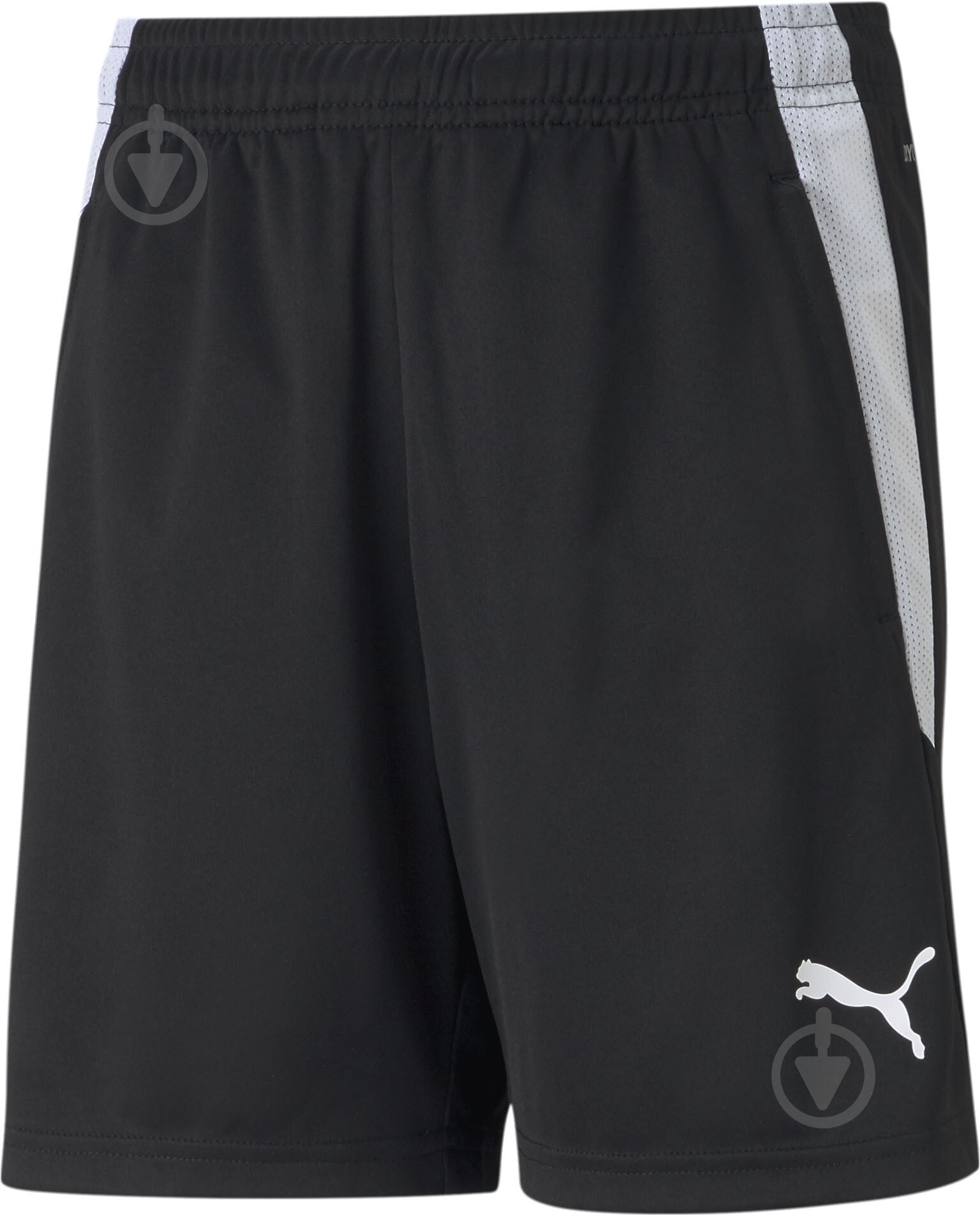 Шорти Puma TEAMLIGA TRAINING SHORTS JR 65725003 р. 140 чорний - фото 1 Шорти Puma TEAMLIGA TRAINING SHORTS JR 65725003 р. 140 чорний - фото 1