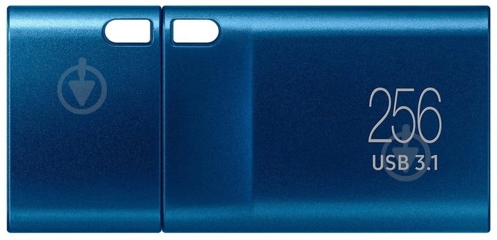 Флеш-память USB Samsung Type-C 256 ГБ USB Type-C blue (MUF-256DA/APC) - фото 1