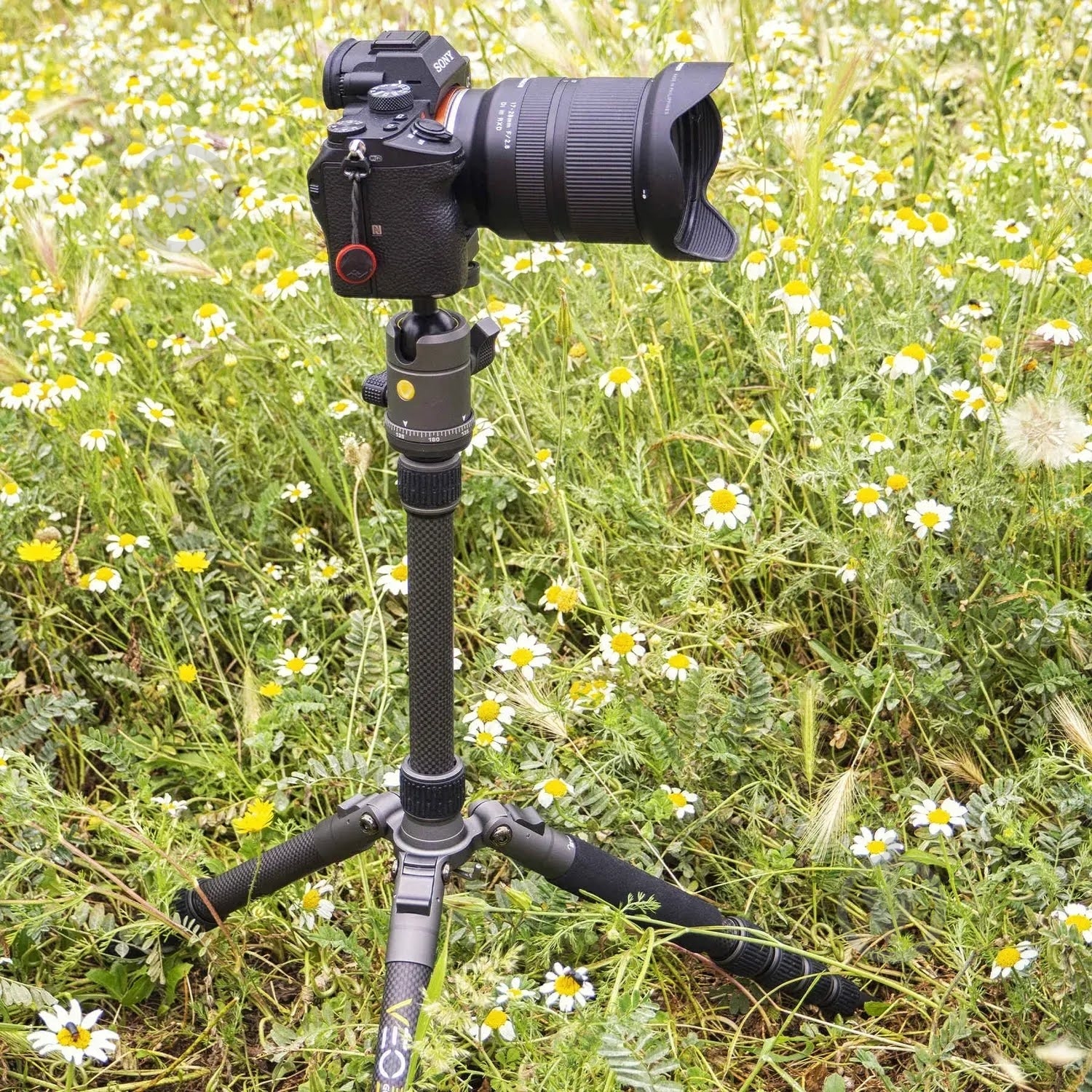 Штатив Vanguard VEO 3GO 235CB - фото 24 Штатив Vanguard VEO 3GO 235CB - фото 24