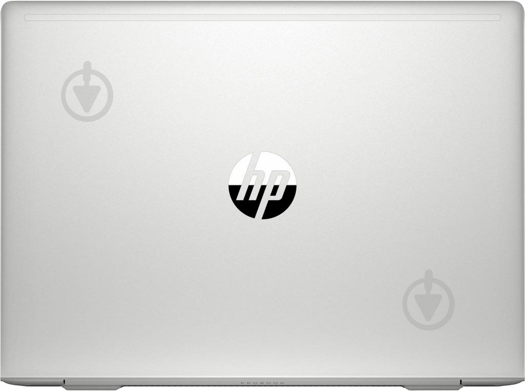 Ноутбук HP Probook 450 G7 15,6" (2D296EA) silver - фото 8