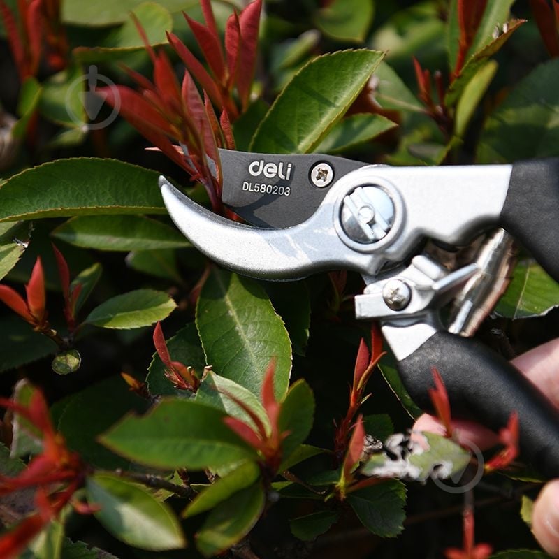 Секатор Deli Секатор 21 см EDL580203 (EDL580203) - фото 5