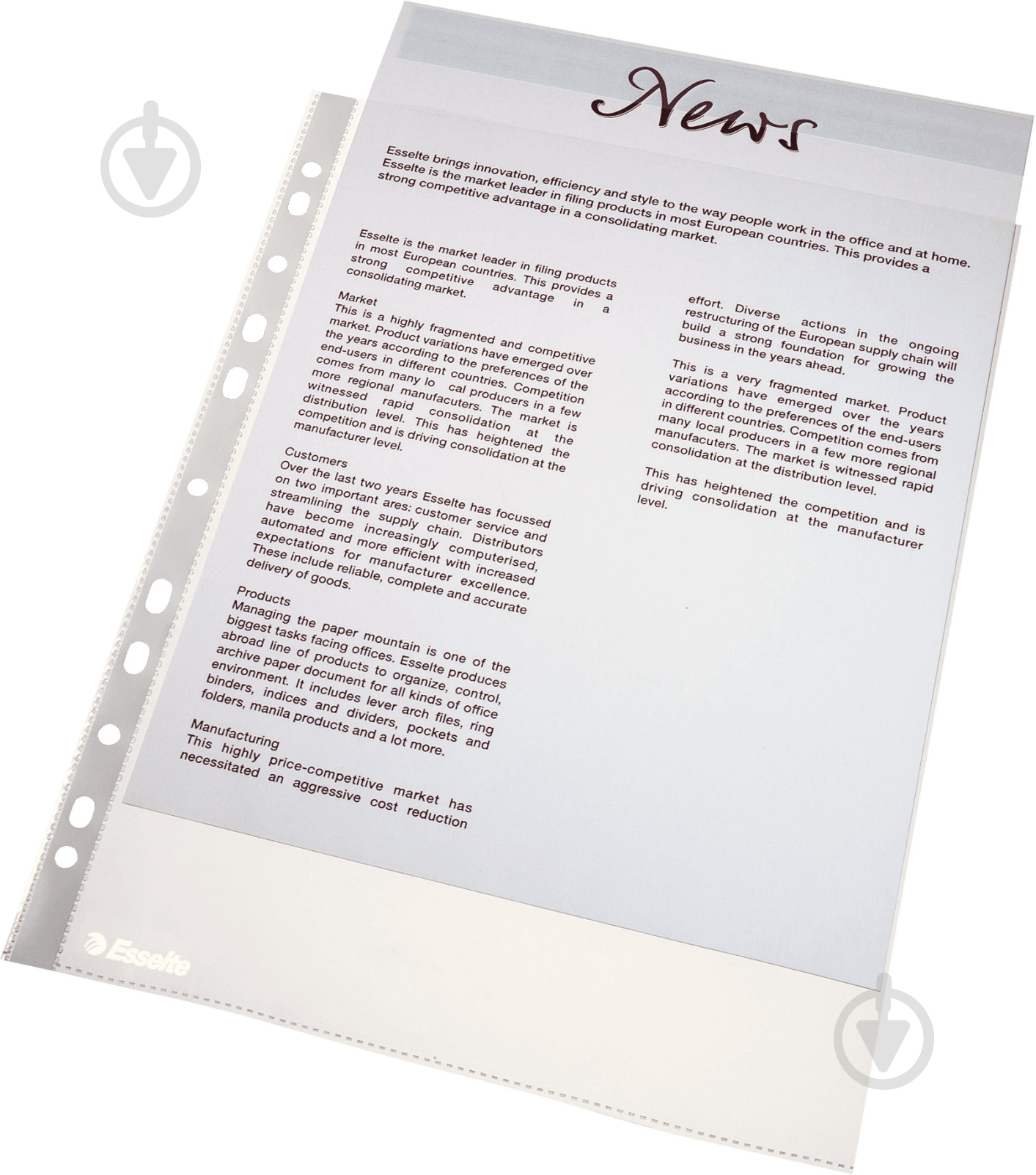 Набор файлов A4 100 шт. 16690 Esselte - фото 2