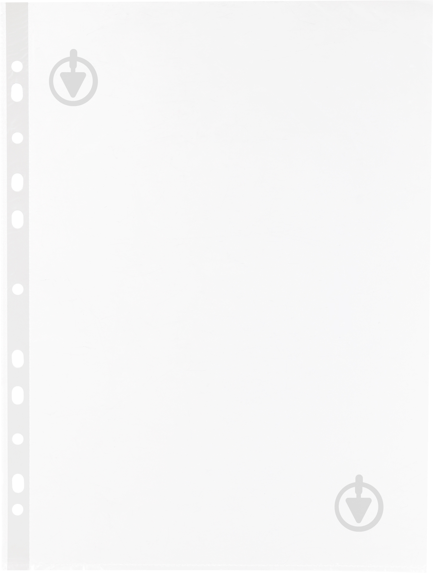 Набор файлов A4 100 шт. 16690 Esselte - фото 1