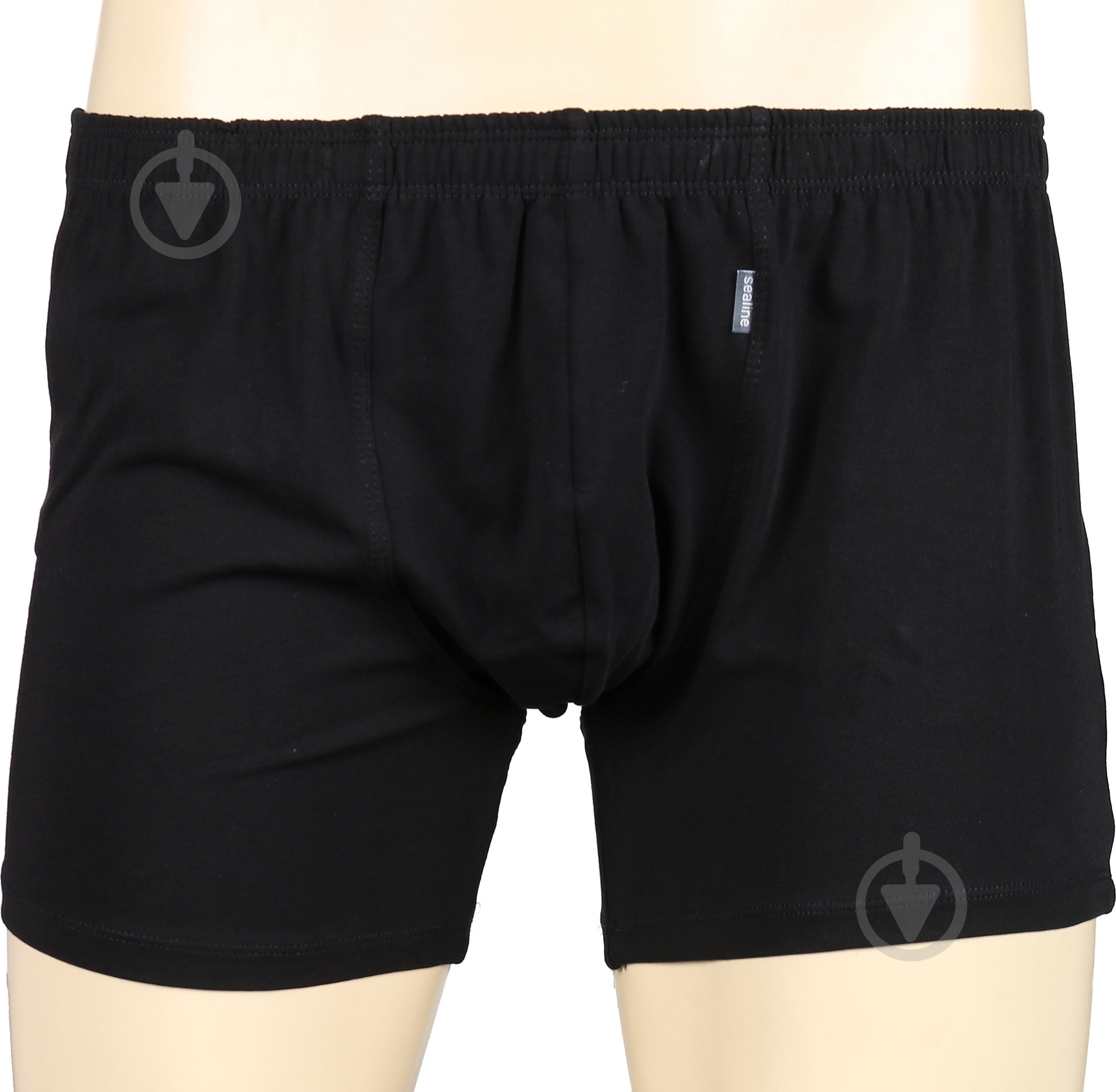 Трусы мужские Sealine 070-020 M черный - фото 1