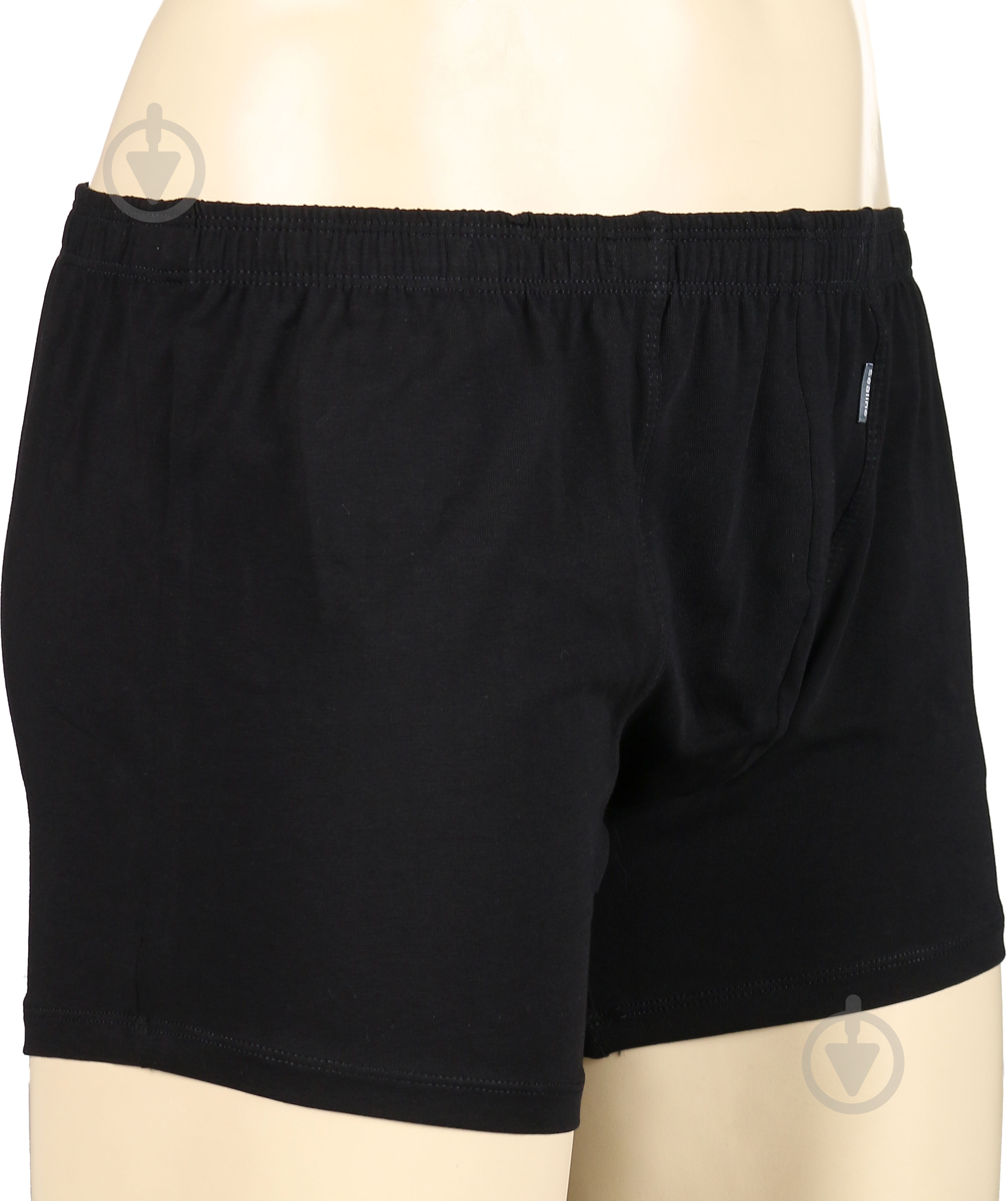 Трусы мужские Sealine 070-020 M черный - фото 2