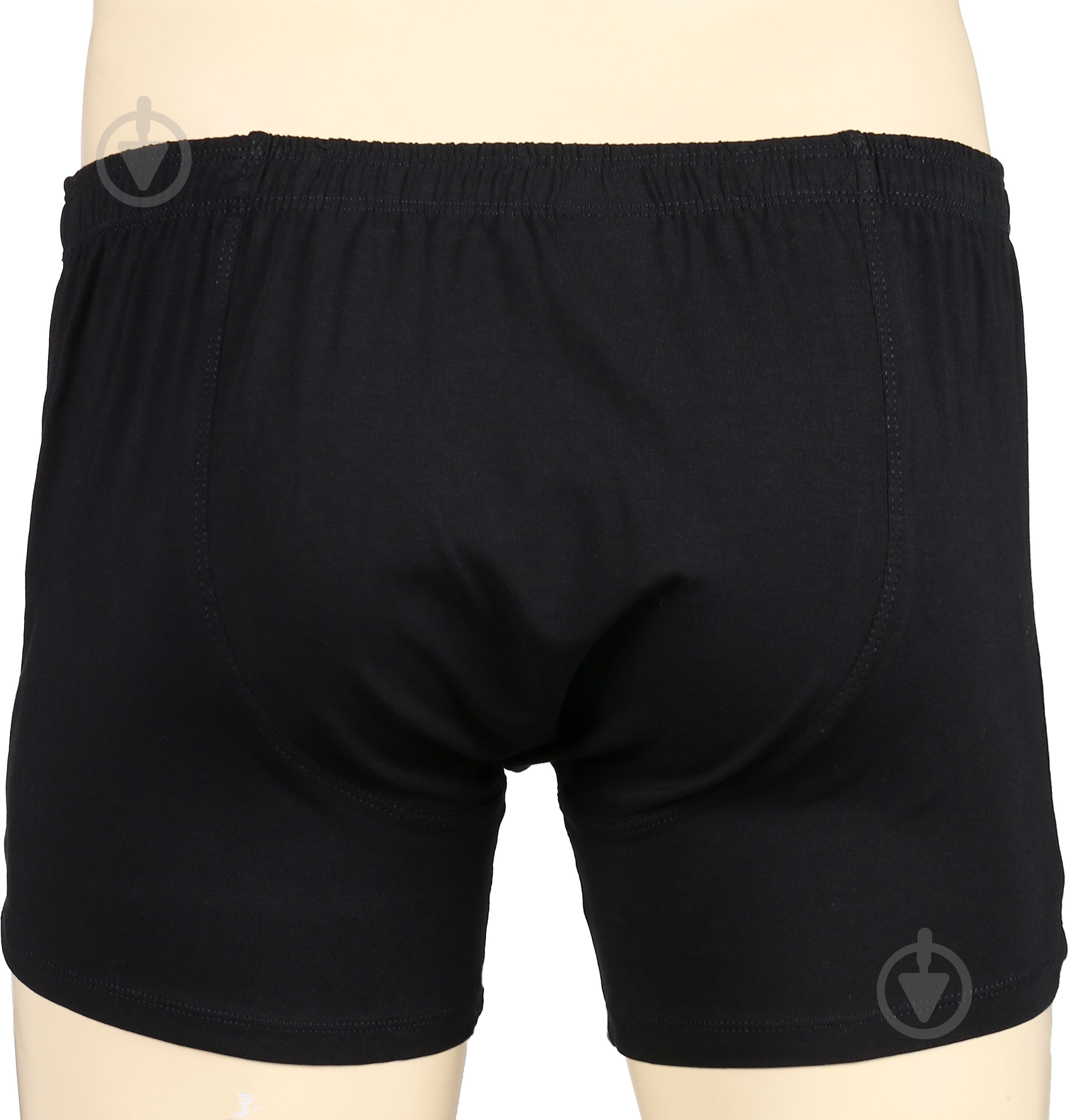 Трусы мужские Sealine 070-020 M черный - фото 3