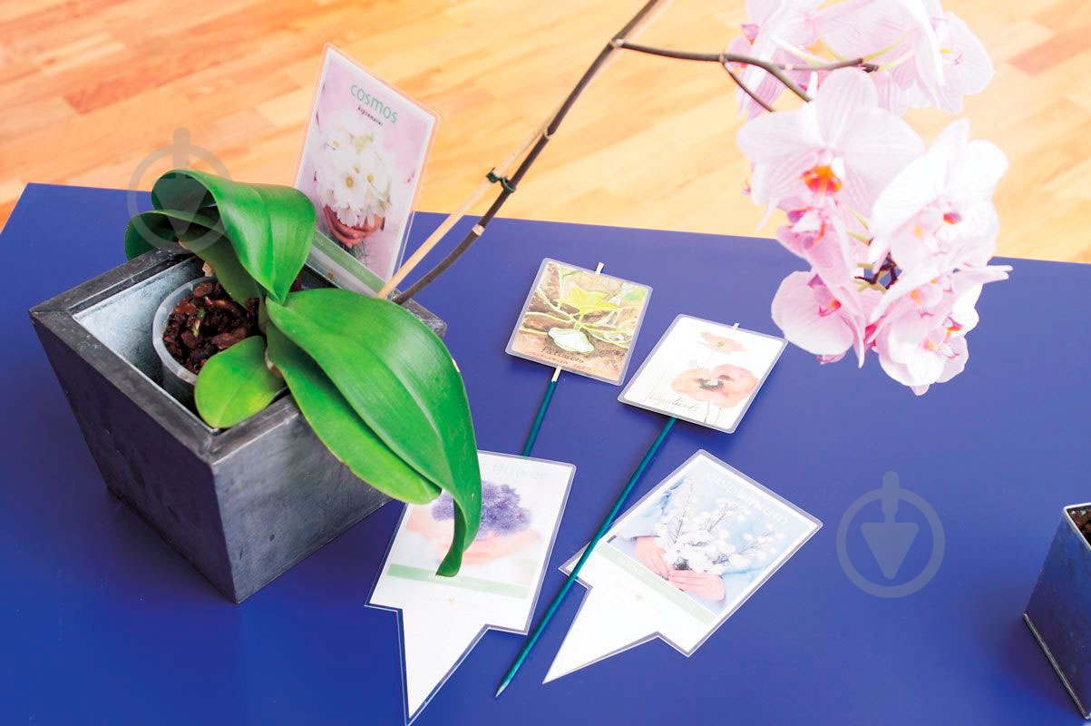 Пленка для ламинирования Buromax A5 154 x 216 мм 80 мкм 100 шт. BM.7753 - фото 4 Пленка для ламинирования Buromax A5 154 x 216 мм 80 мкм 100 шт. BM.7753 - фото 4