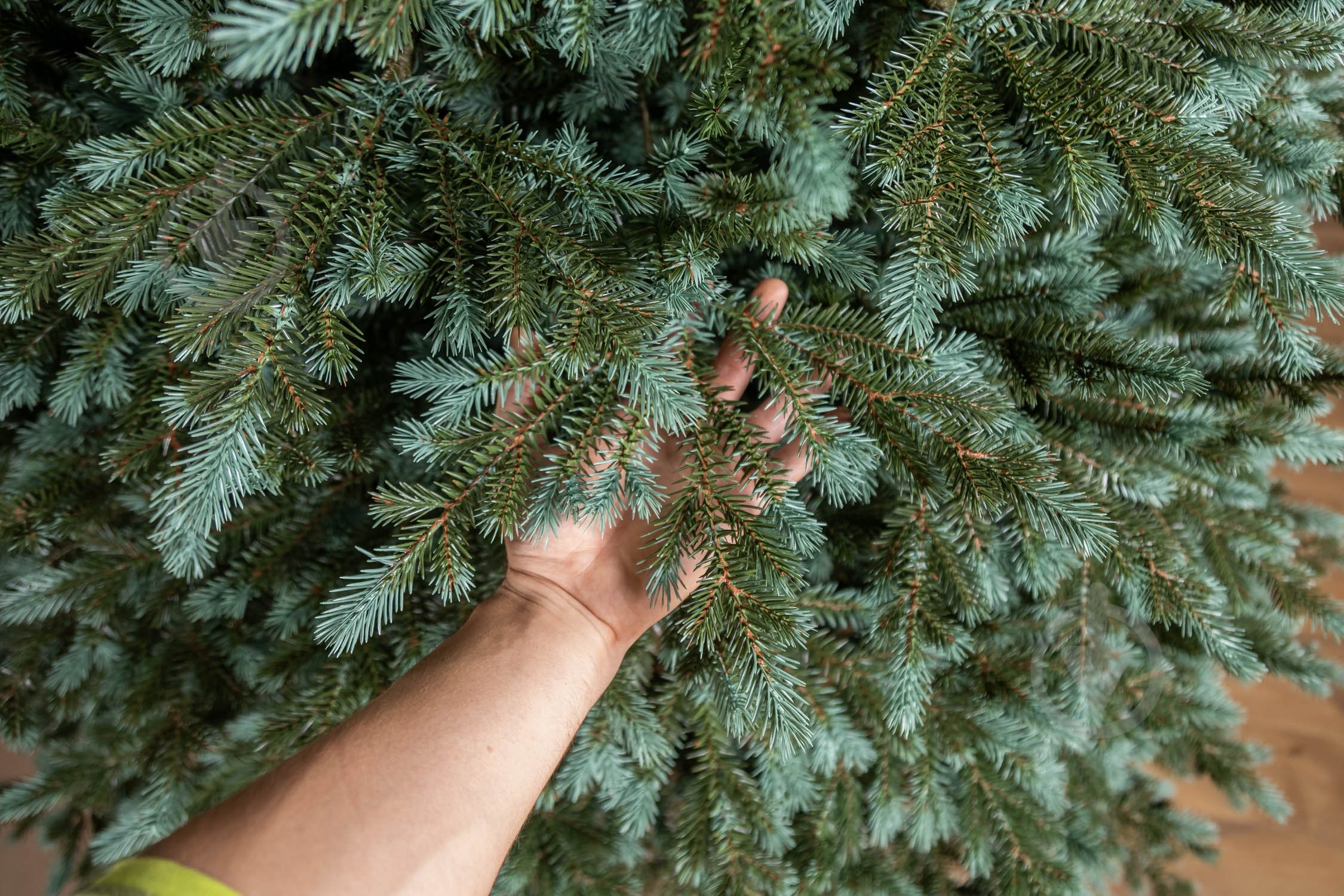 Штучна ялинка лита Аляска 1,50 м зелено-блакитний Siga Group - фото 2 Штучна ялинка лита Аляска 1,50 м зелено-блакитний Siga Group - фото 2