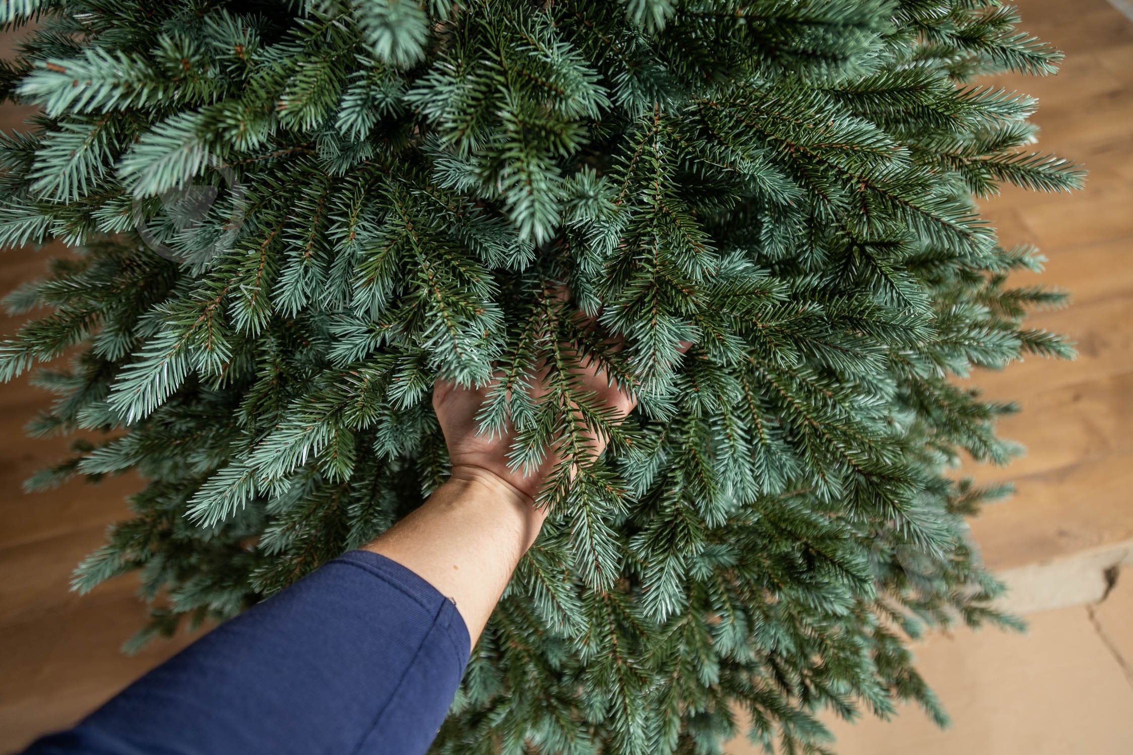 Штучна ялинка лита Аляска 1,50 м зелено-блакитний Siga Group - фото 4 Штучна ялинка лита Аляска 1,50 м зелено-блакитний Siga Group - фото 4