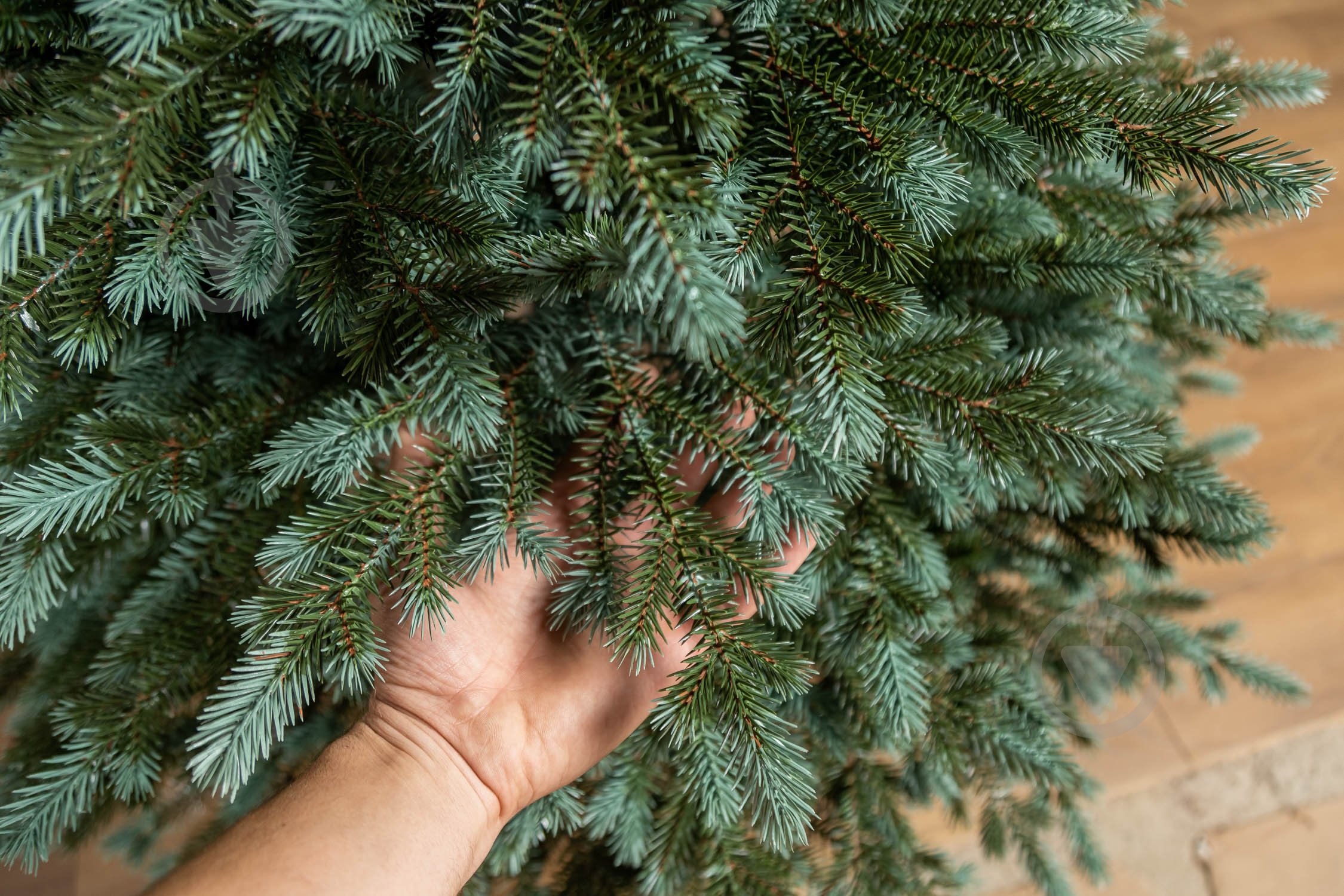 Штучна ялинка лита Аляска 1,80 м зелено-блакитний Siga Group - фото 10 Штучна ялинка лита Аляска 1,80 м зелено-блакитний Siga Group - фото 10