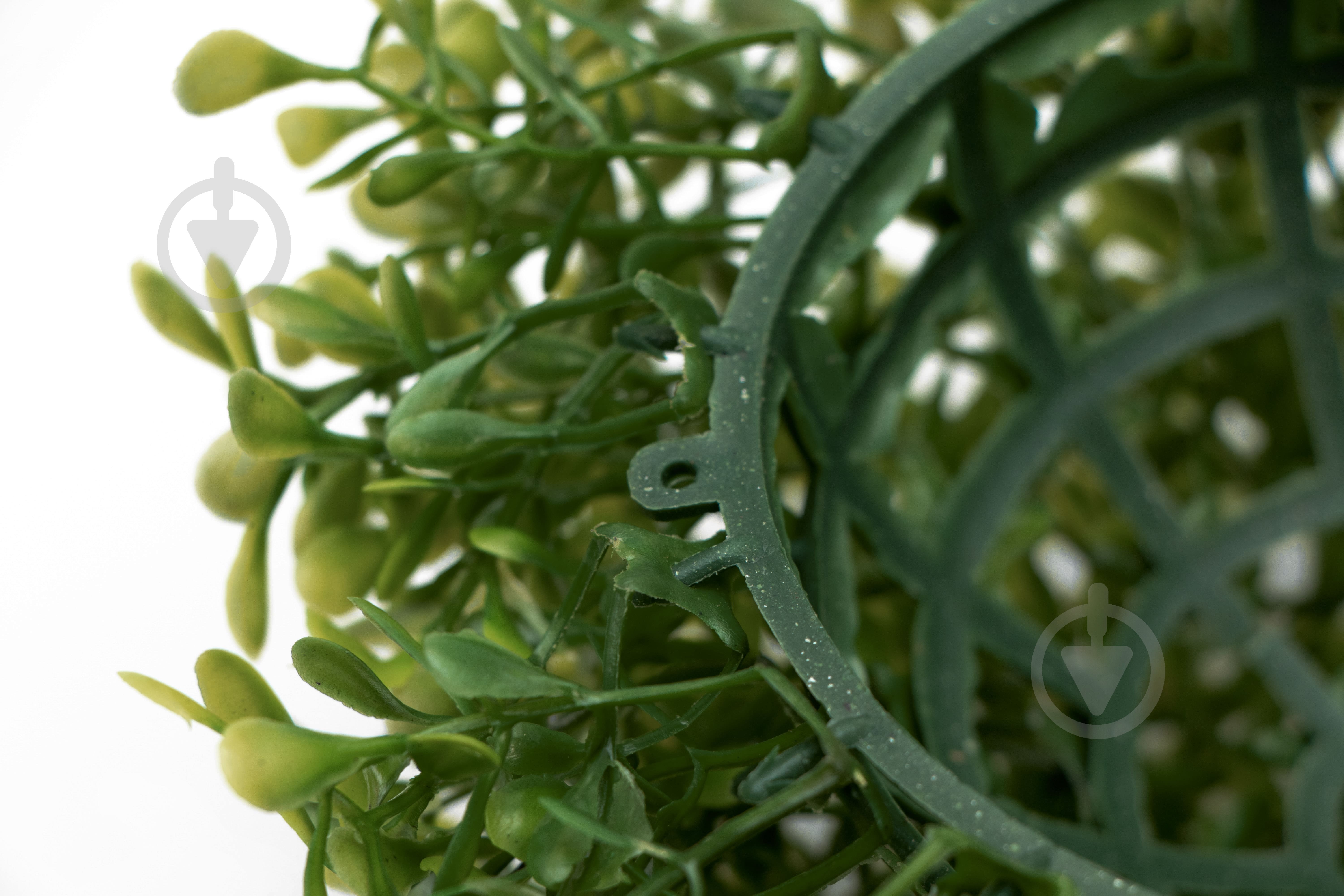 Куля штучний кущ Самшит св-зеленый 18 см 960187 Девілон - фото 5 Куля штучний кущ Самшит св-зеленый 18 см 960187 Девілон - фото 5