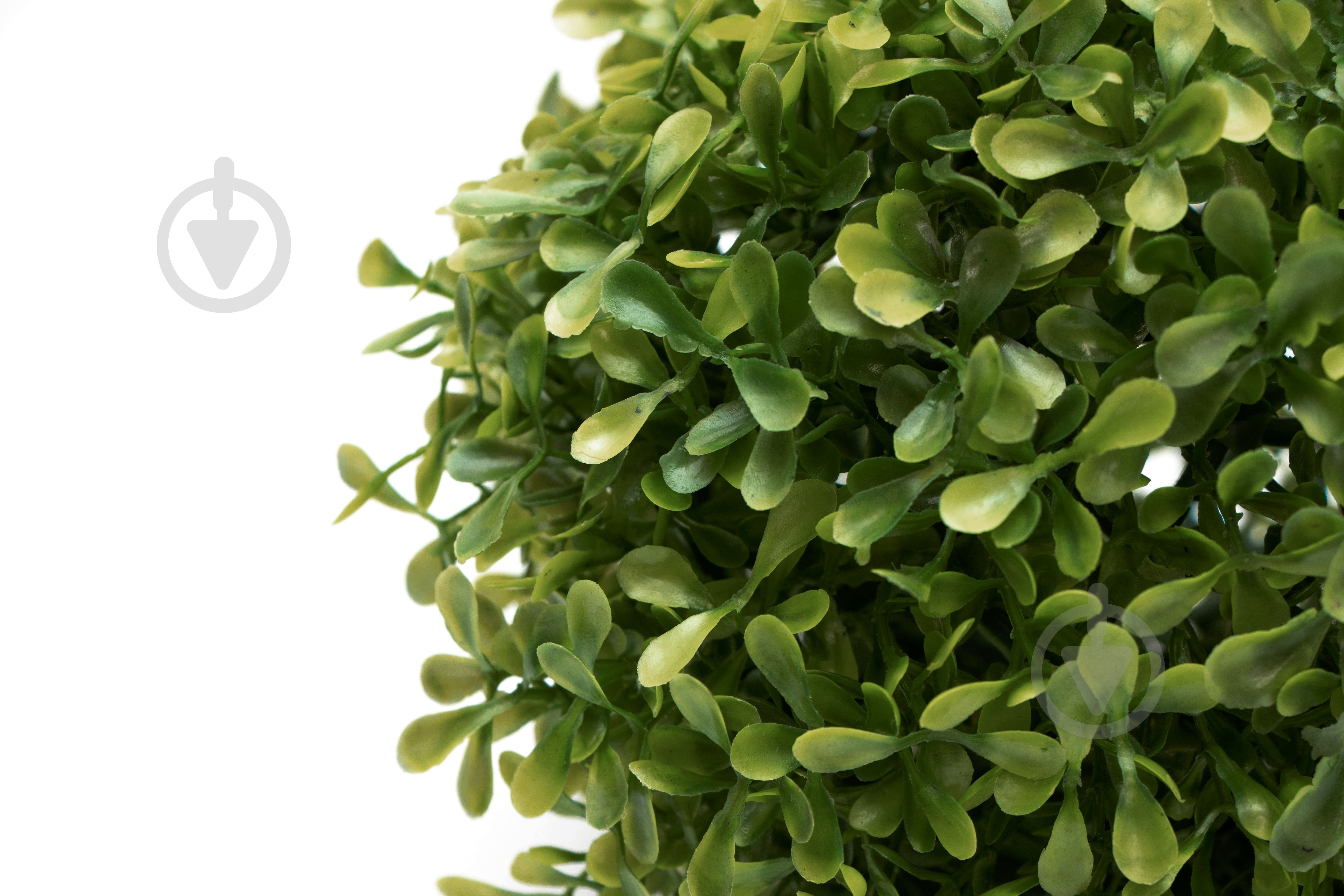 Куля штучний кущ Самшит св-зеленый 18 см 960187 Девілон - фото 2 Куля штучний кущ Самшит св-зеленый 18 см 960187 Девілон - фото 2