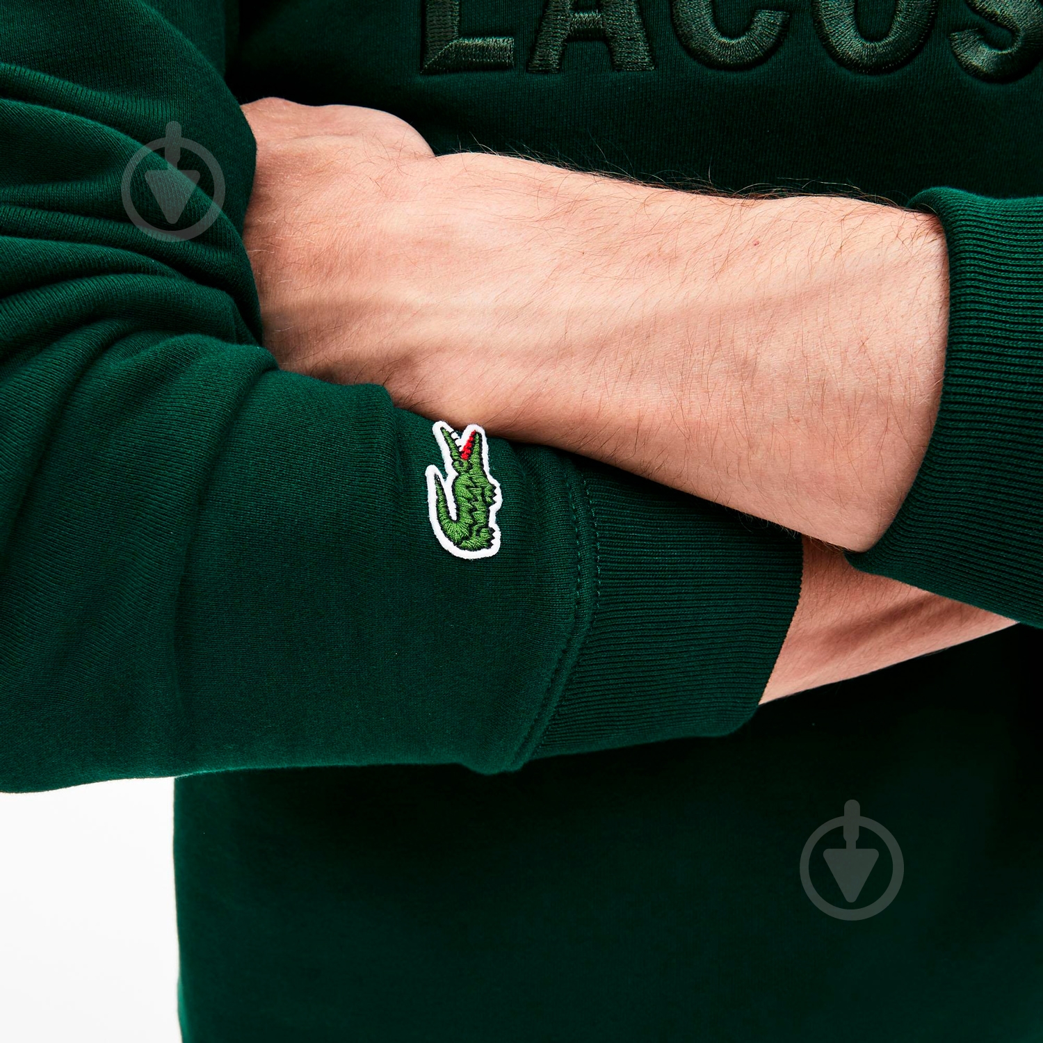 Свитшот Lacoste SH8546 SH8546YZP р.S зеленый - фото 5 Свитшот Lacoste SH8546 SH8546YZP р.S зеленый - фото 5