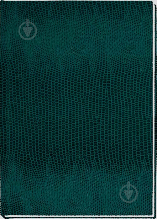 Блокнот А5 E21904-04 Economix - фото 1