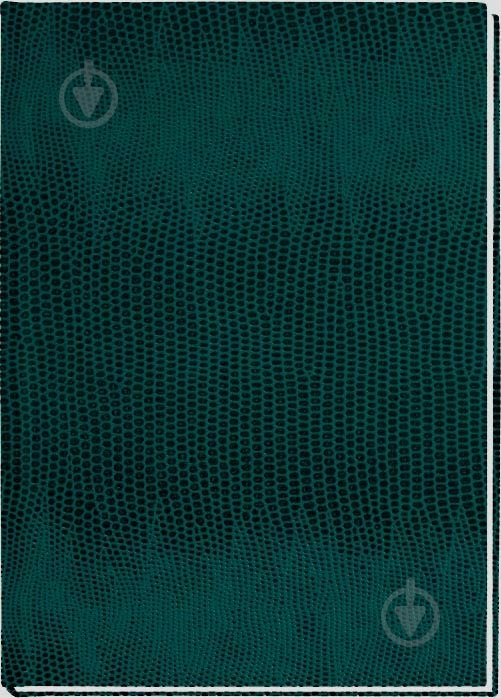 Блокнот А6 E21914-04 Economix - фото 1