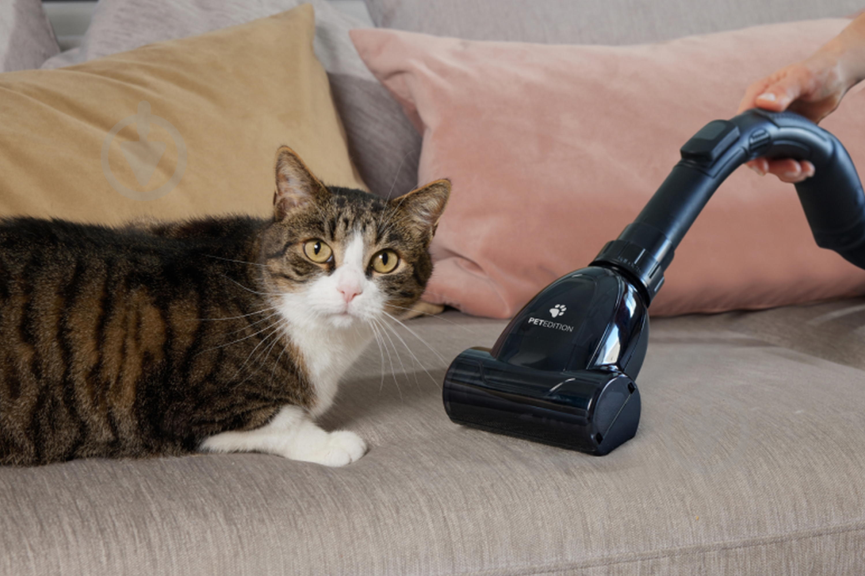 Пылесос Gorenje VCE08GAPGOCY brown - фото 3 Пылесос Gorenje VCE08GAPGOCY brown - фото 3