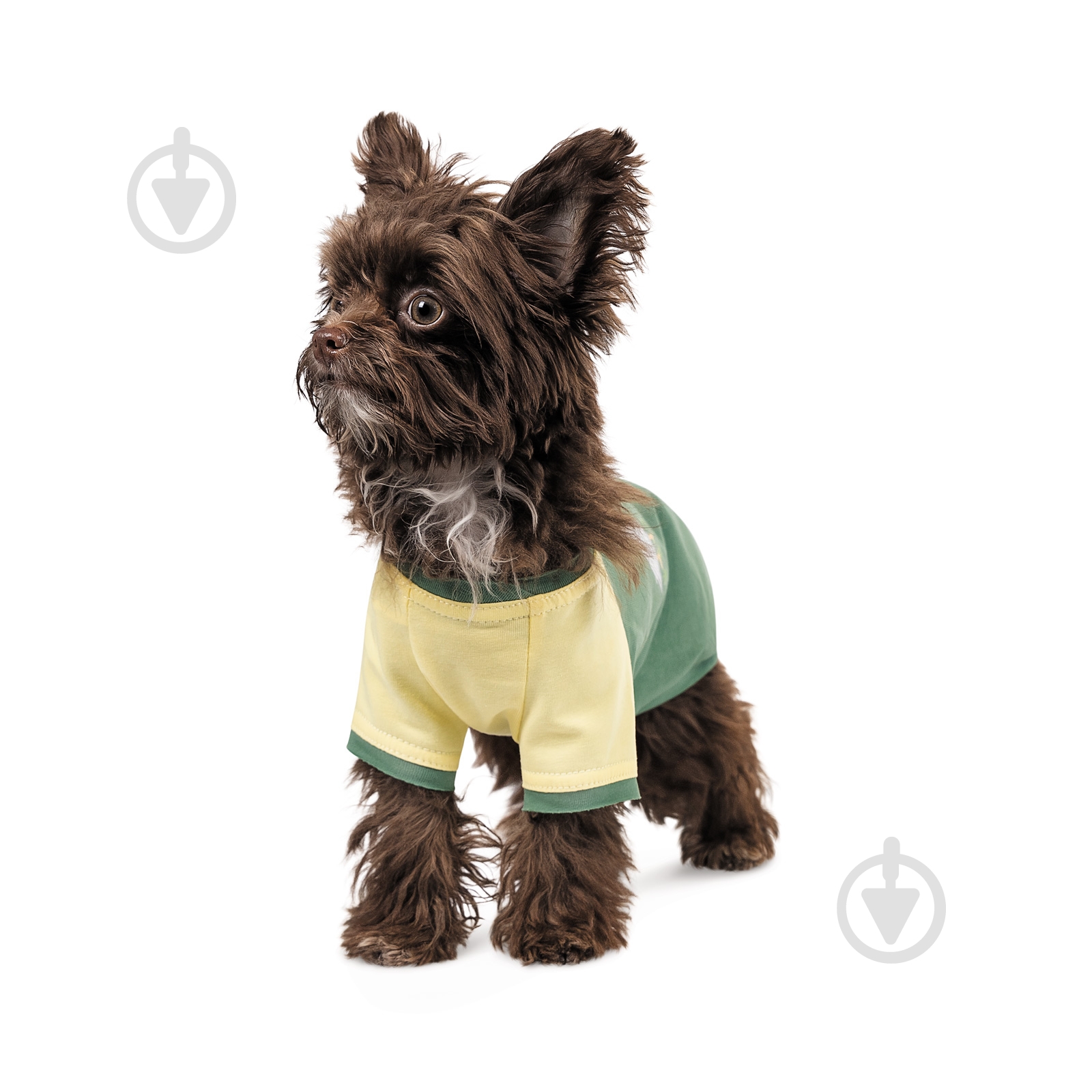 Футболка Pet Fashion Endy S - фото 2