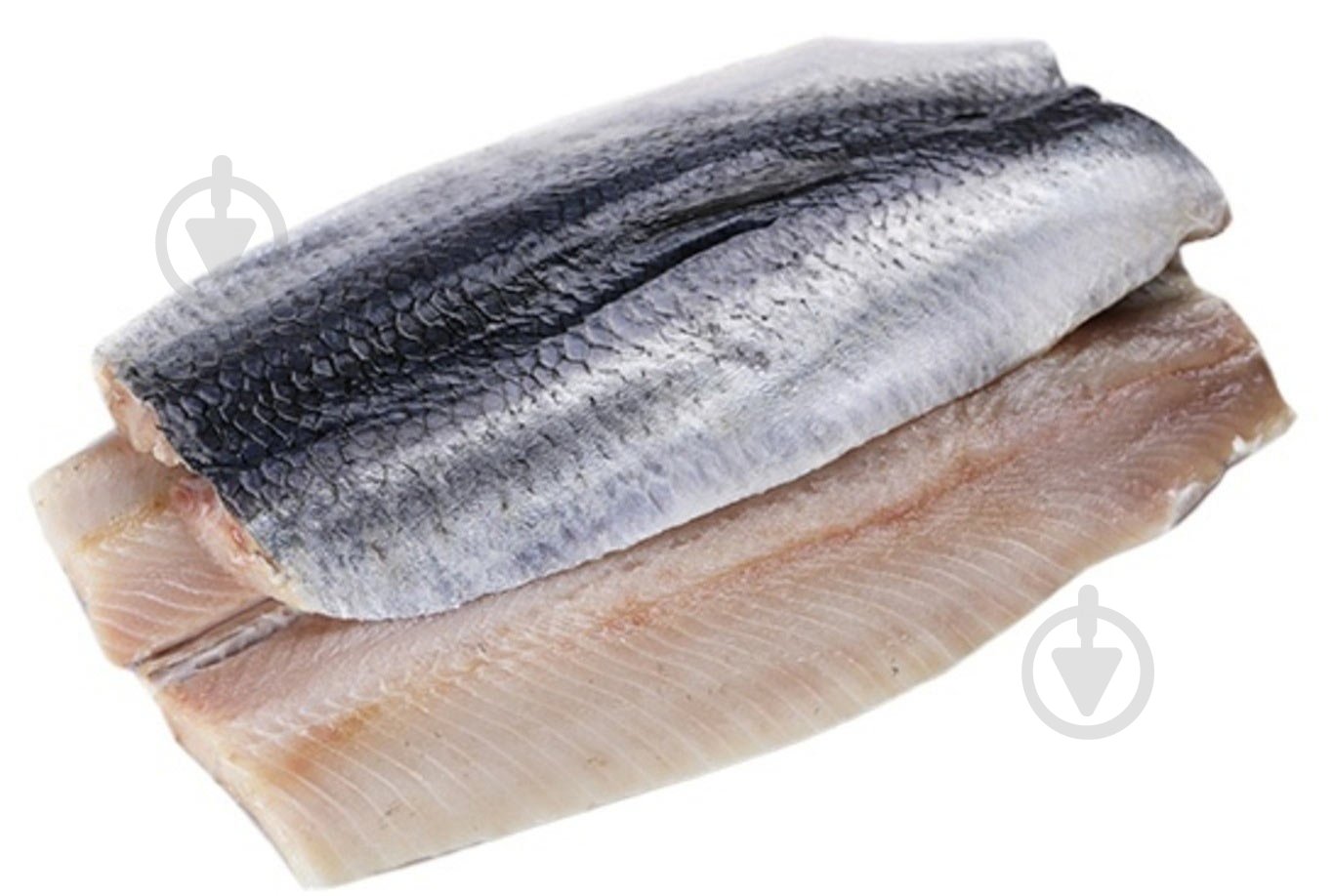Сельдь филе свежемороженое 4-8 - фото 1