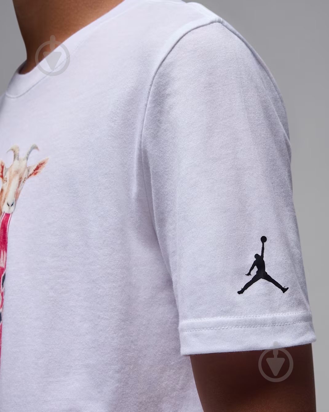 ᐉ Футболка Jordan MJ FLT GOAT SS CREW 95F314-001 р.8-10YRS белый