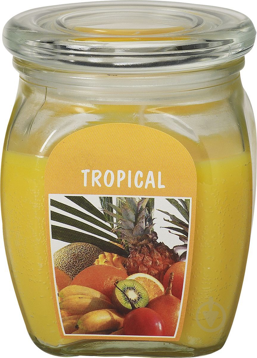 Свеча ароматическая Bolsius Тропики 12х9,2 см - фото 1 Свеча ароматическая Bolsius Тропики 12х9,2 см - фото 1