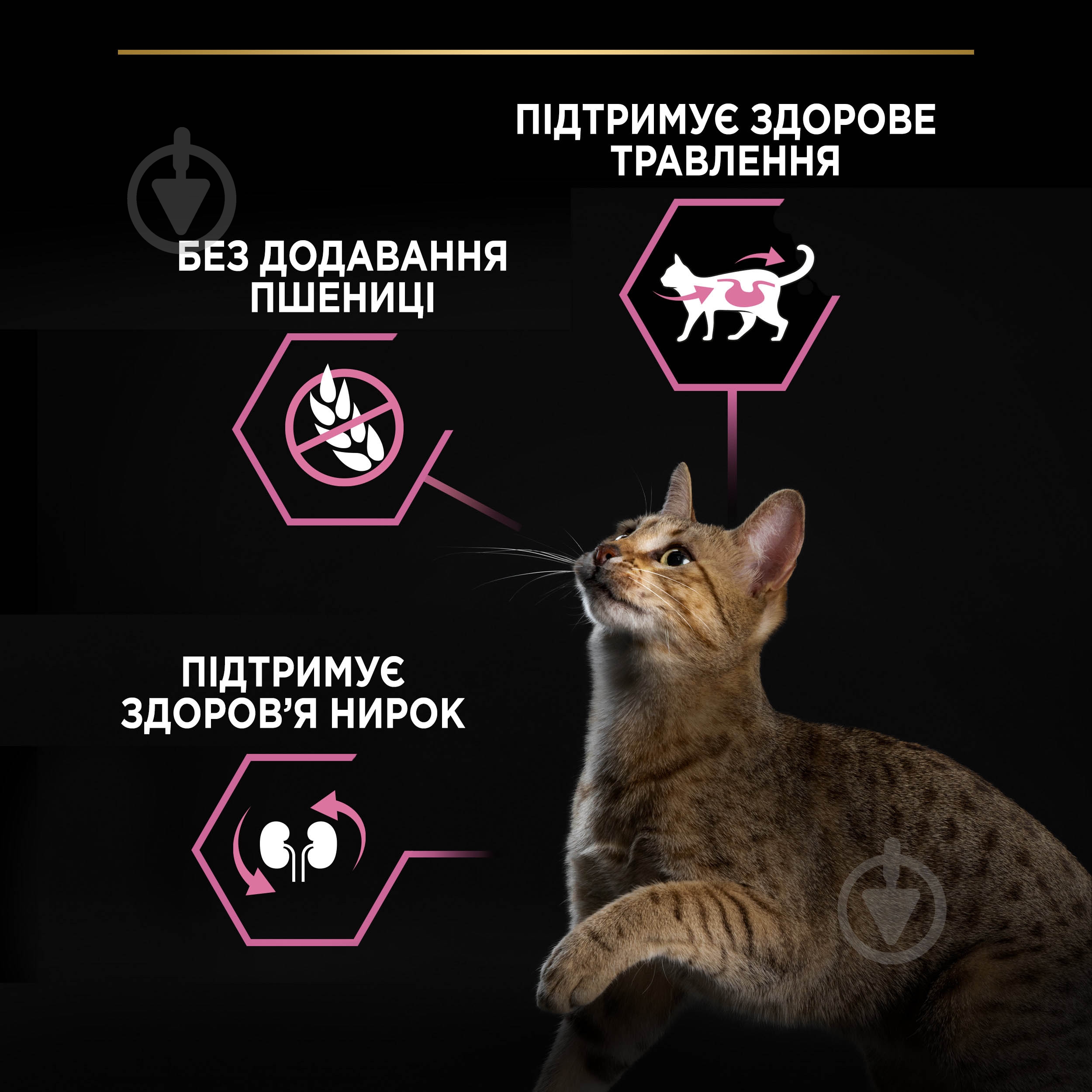 Корм сухой для взрослых стерилизованных кошек ProPlan by Purina Sterilised Adult 1+ Delicate Digestion чувствительное пищеварение с курицей 1,5 кг - фото 5