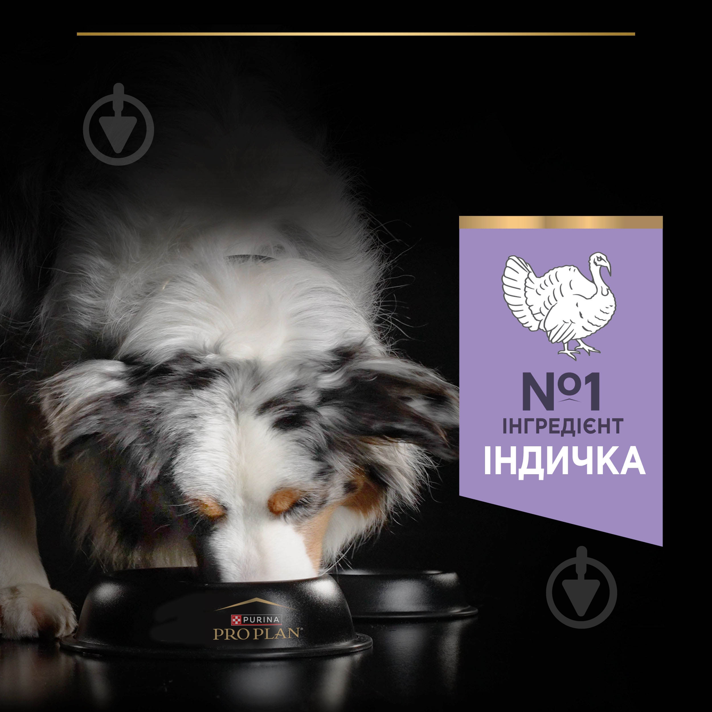 Корм сухий беззерновий ProPlan by Purina Medium & Large Adult 1+ Sensitive Digestion чутливе травлення з індичкою 12 к - фото 6