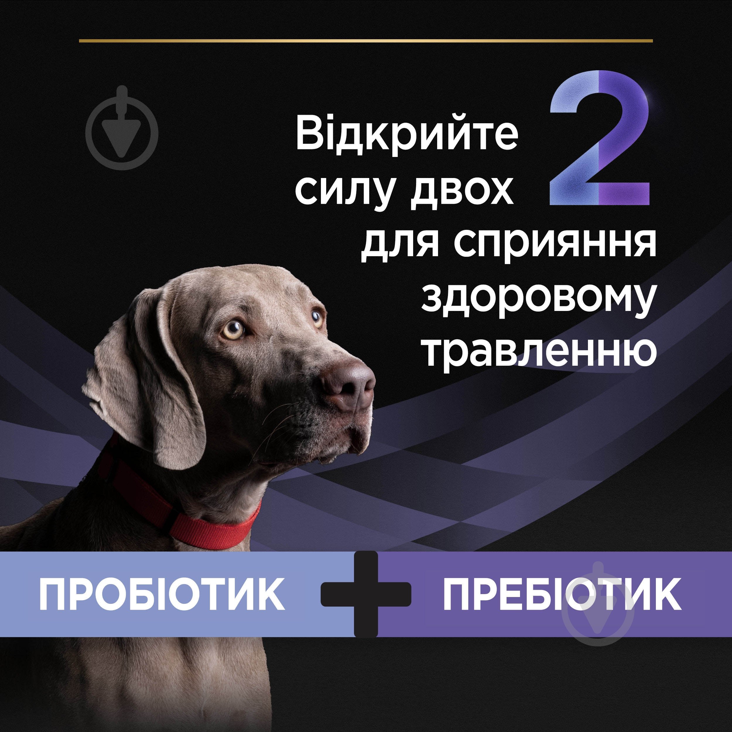 Пробіотик + пребіотик ProPlan by Purina FortiFlora PLUS для дорослих собак та цуценят 60 г - фото 5