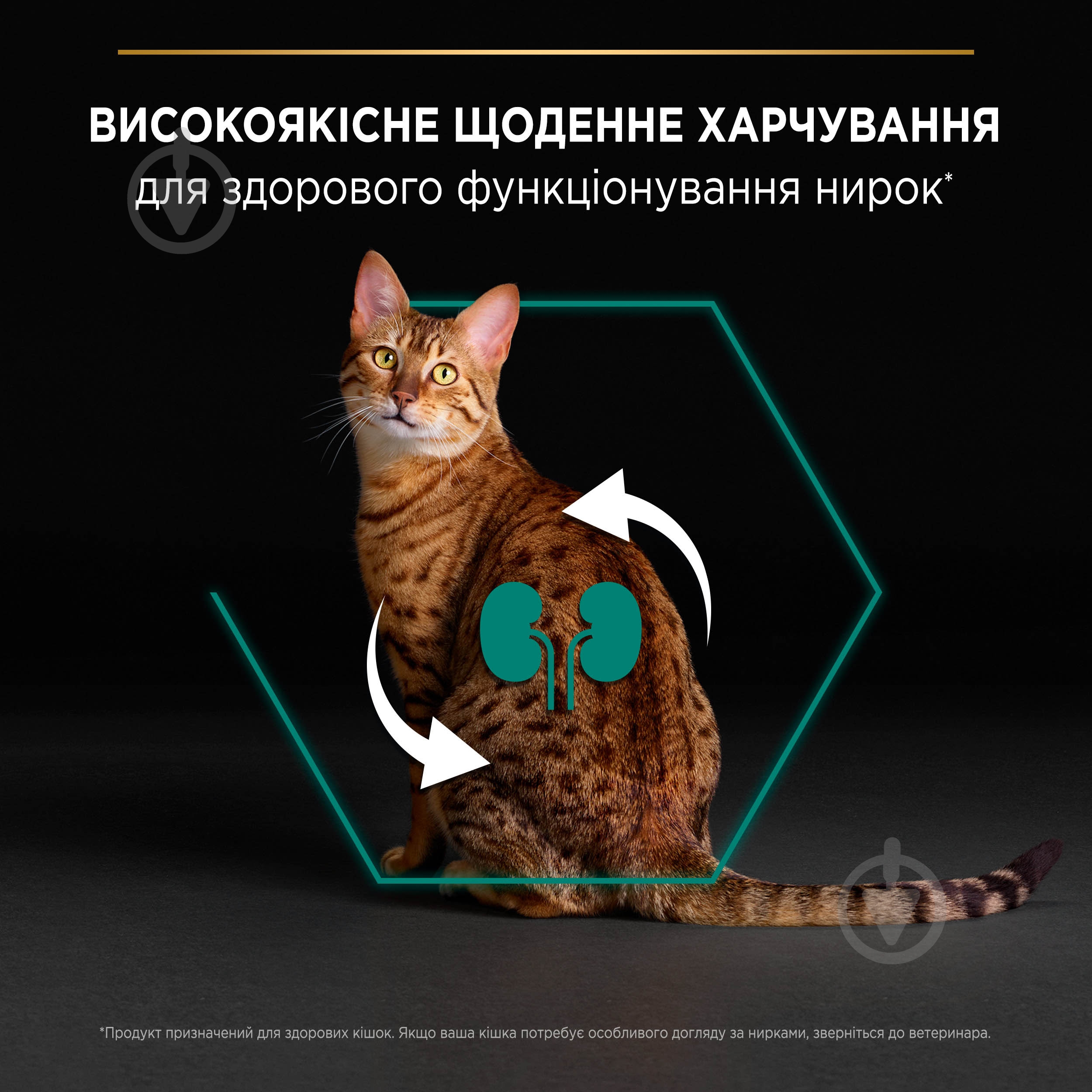 Корм сухий для дорослих котів ProPlan by Purina Adult 1+ Renal Plus з куркою 14 кг - фото 5