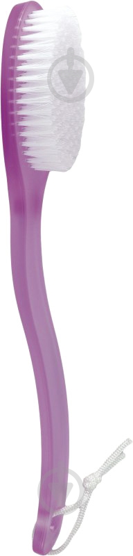 Щетка Inter-Vion банная 499539 499539 - фото 1 Щетка Inter-Vion банная 499539 499539 - фото 1