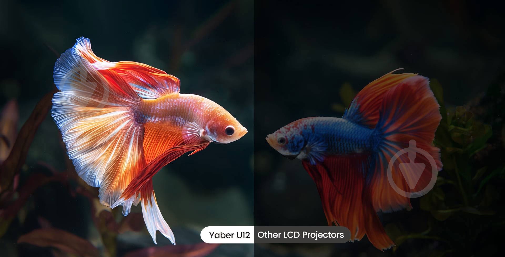 Проектор Yaber (Yaber-U12) - фото 8